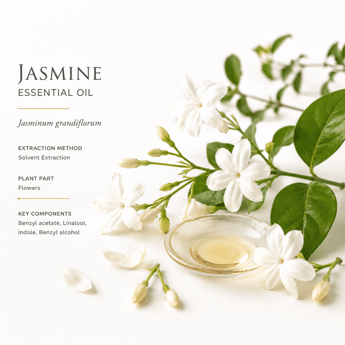 Αιθέριο έλαιο Γιασεμί (Jasmine), φαρμακευτικής & καλλυντικής χρήσης - Avgerinos Pharmacy