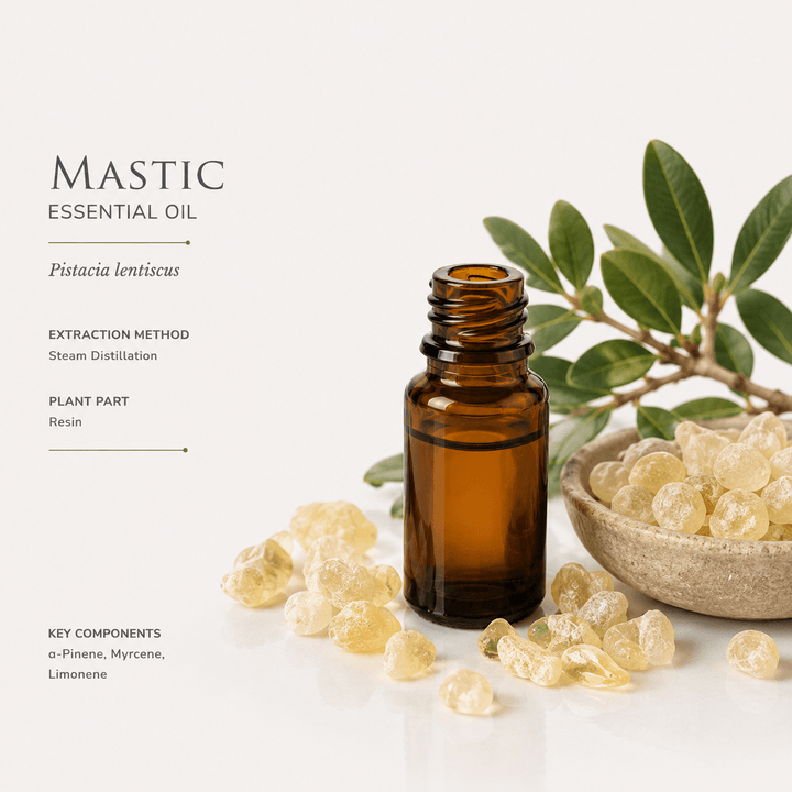 Αιθέριο έλαιο Μαστίχα (Mastic), φαρμακευτικής &amp; καλλυντικής χρήσης - Avgerinos Pharmacy