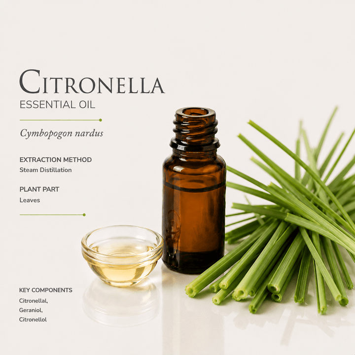 Αιθέριο έλαιο Σιτρονέλα (Citronella), φαρμακευτικής &amp; καλλυντικής χρήσης - Avgerinos Pharmacy