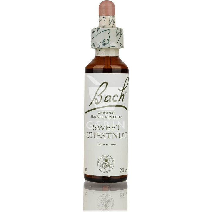 Ανθοΐαμα Γεμμοθεραπείας Bach Sweet Chestnut, για βαθιά απόγνωση και απελπισία, συμπληρωμα διατροφής σε σταγόνες απο το Φαρμακείο Avgerinos
